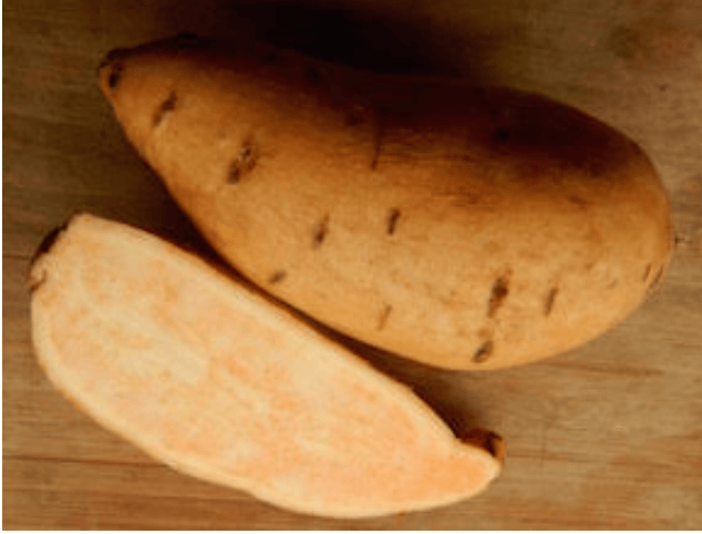 Sunshine Sweet Potato Slips - Sow True Seed