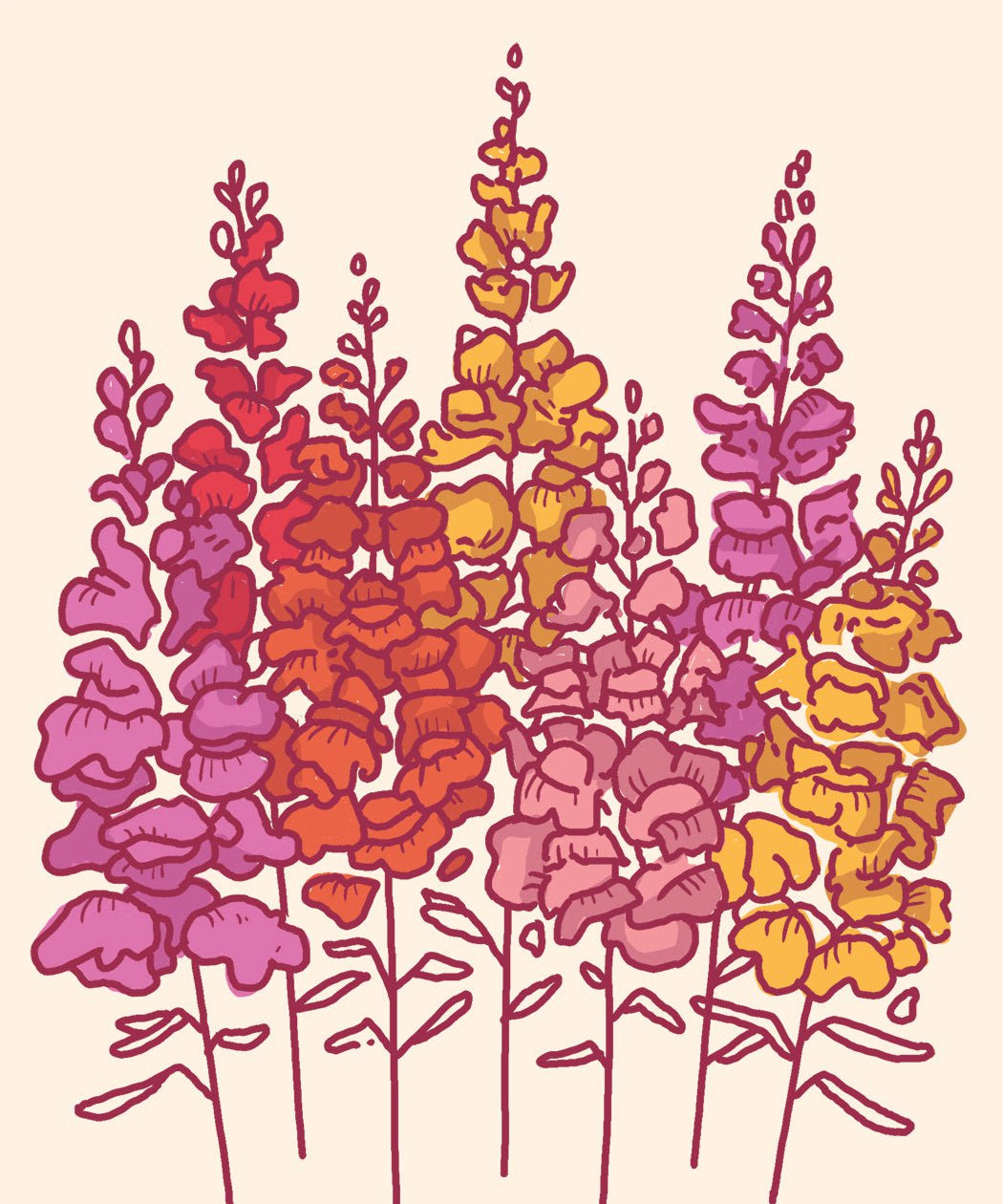 Snapdragon Seeds - Tetra Mix - Sow True Seed