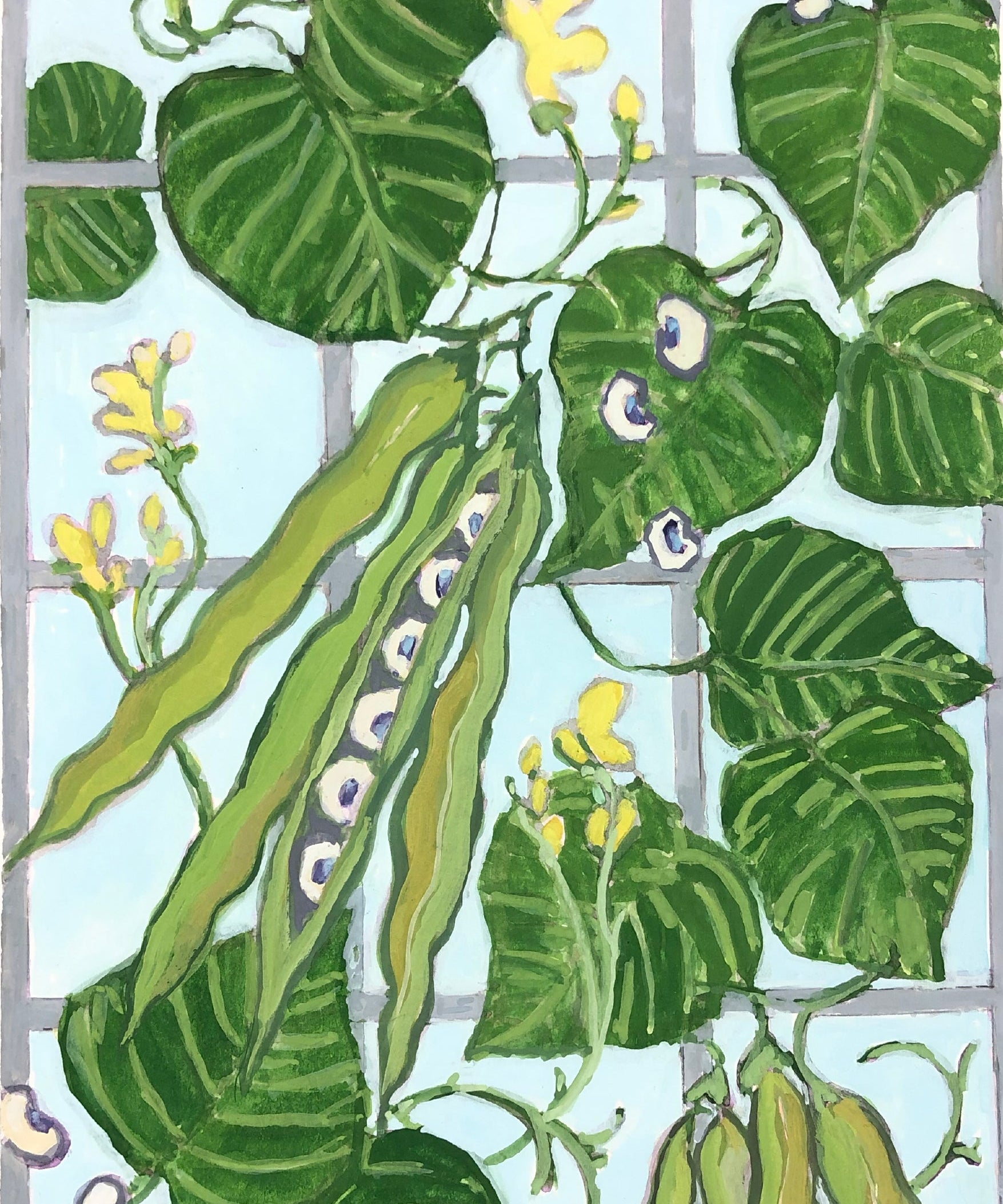Southern Pea Seeds - California Blackeye - Sow True Seed