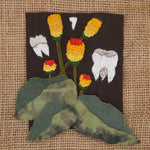Spilanthes Seeds - Toothache Cress - Sow True Seed