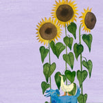Sunflower Seeds - Mongolian Giant, ORGANIC - Sow True Seed