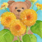 Sunflower Seeds - Teddy Bear - Sow True Seed