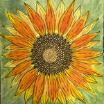 Sunflower Seeds - Velvet Queen - Sow True Seed