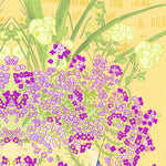 Sweet Alyssum Seeds - Painted Carpet Mix - Sow True Seed