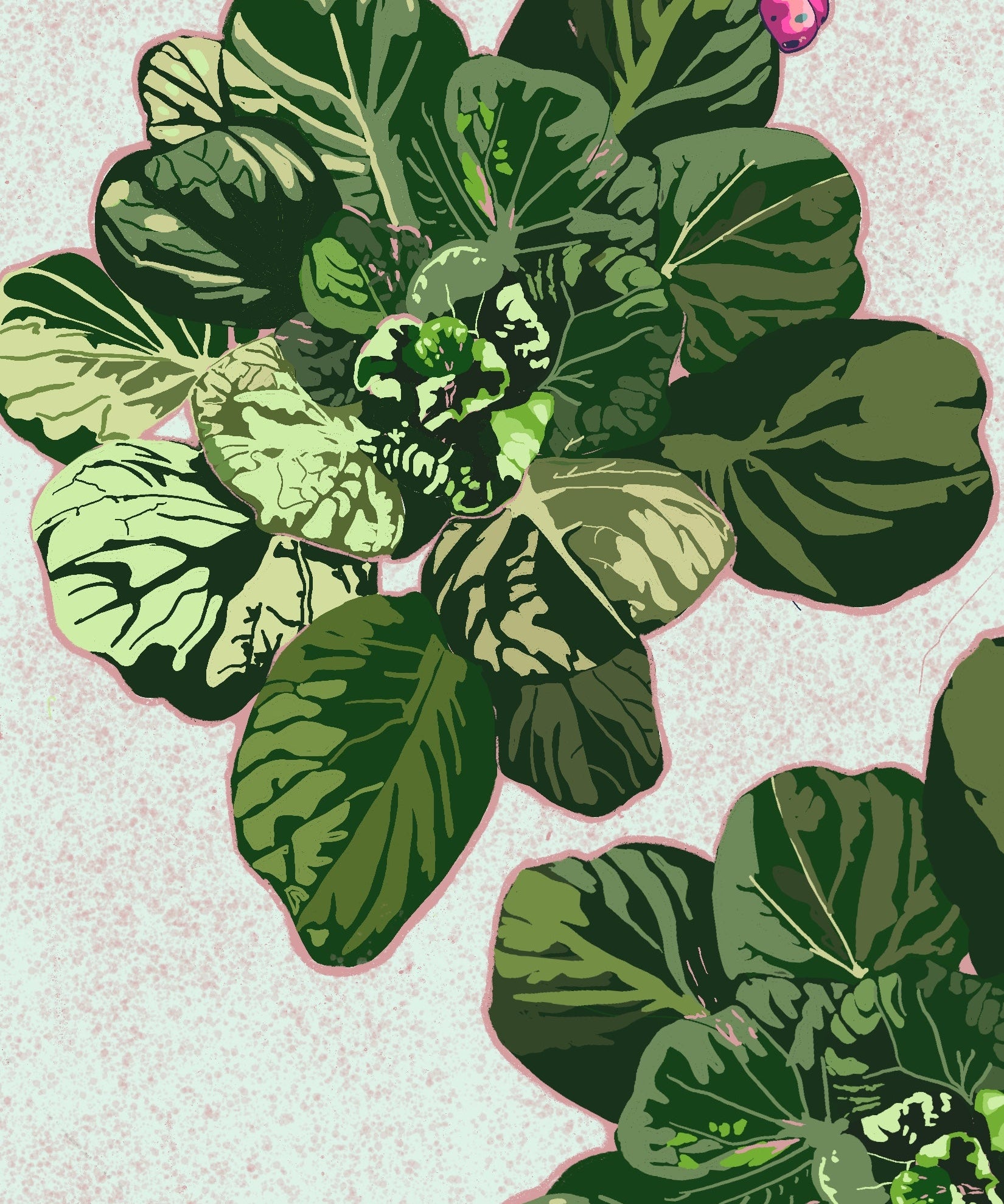 Asian Greens Seeds - Tatsoi - Sow True Seed