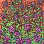Thyme Seeds - Creeping - Sow True Seed