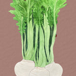 Turnip Seeds - Shogoin - Sow True Seed