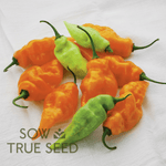 Sweet Pepper Seeds - Habanada - Sow True Seed