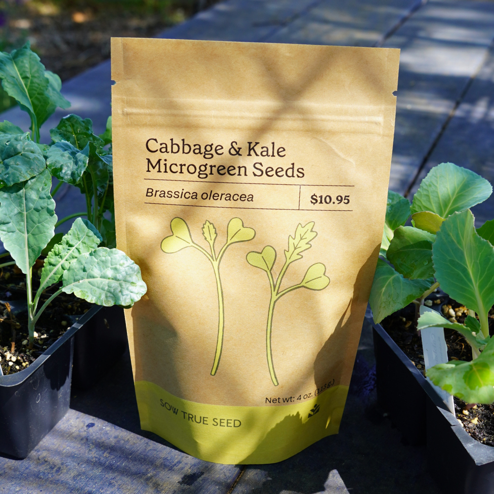 Microgreen Seed - Cabbage and Kale Mix - Sow True Seed