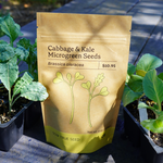 Microgreen Seed - Cabbage and Kale Mix - Sow True Seed