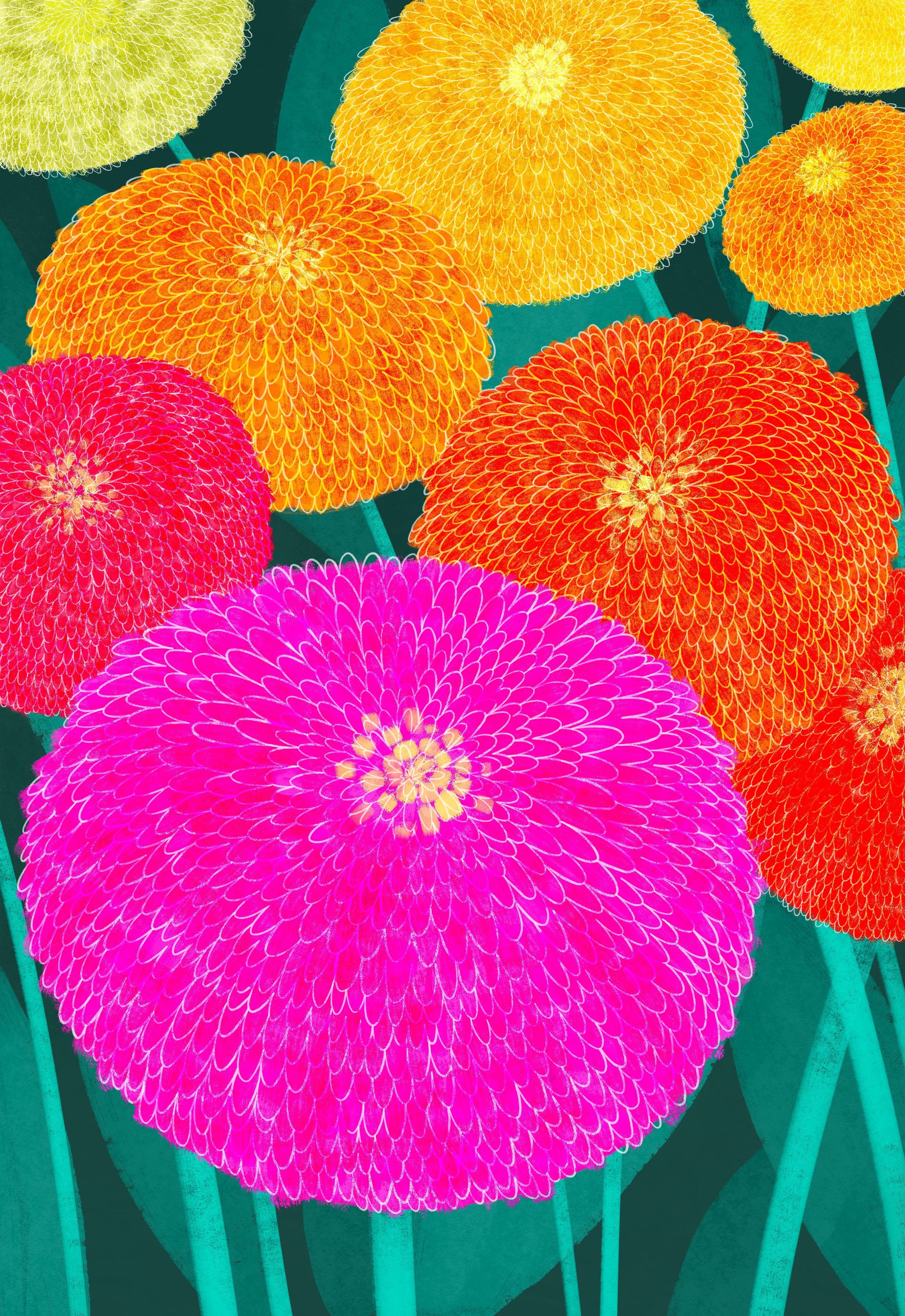 Zinnia Seeds - Lilliput Mix - Sow True Seed