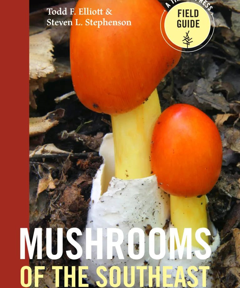 Mushrooms of the Southeast - Sow True Seed