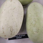 Watermelon - Charleston Grey - Sow True Seed