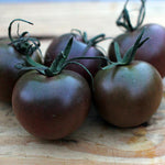 Cherry Tomato Seeds - Black Cherry - Sow True Seed