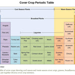Cover Crop - Buckwheat, ORGANIC - Sow True Seed