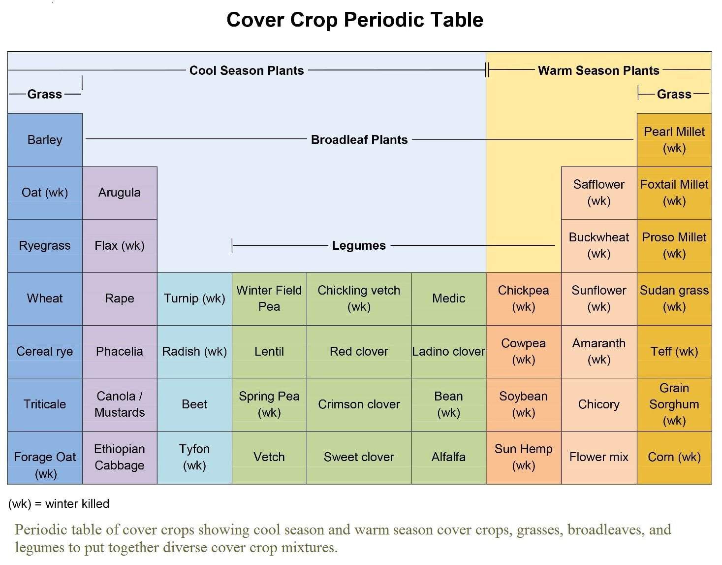 Cover Crop - Cover and Color Mix - Sow True Seed