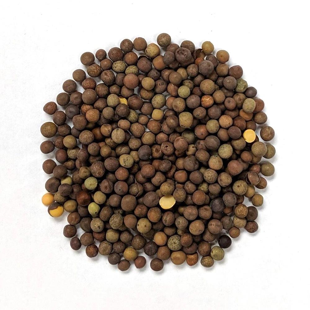 Cover Crop - Austrian Winter Pea, ORGANIC - Sow True Seed