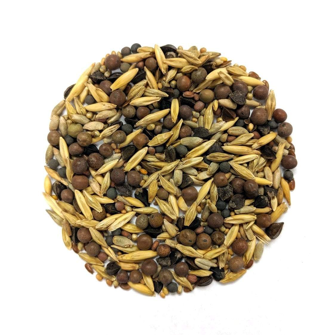 Cover Crop - Cover and Color Mix - Sow True Seed
