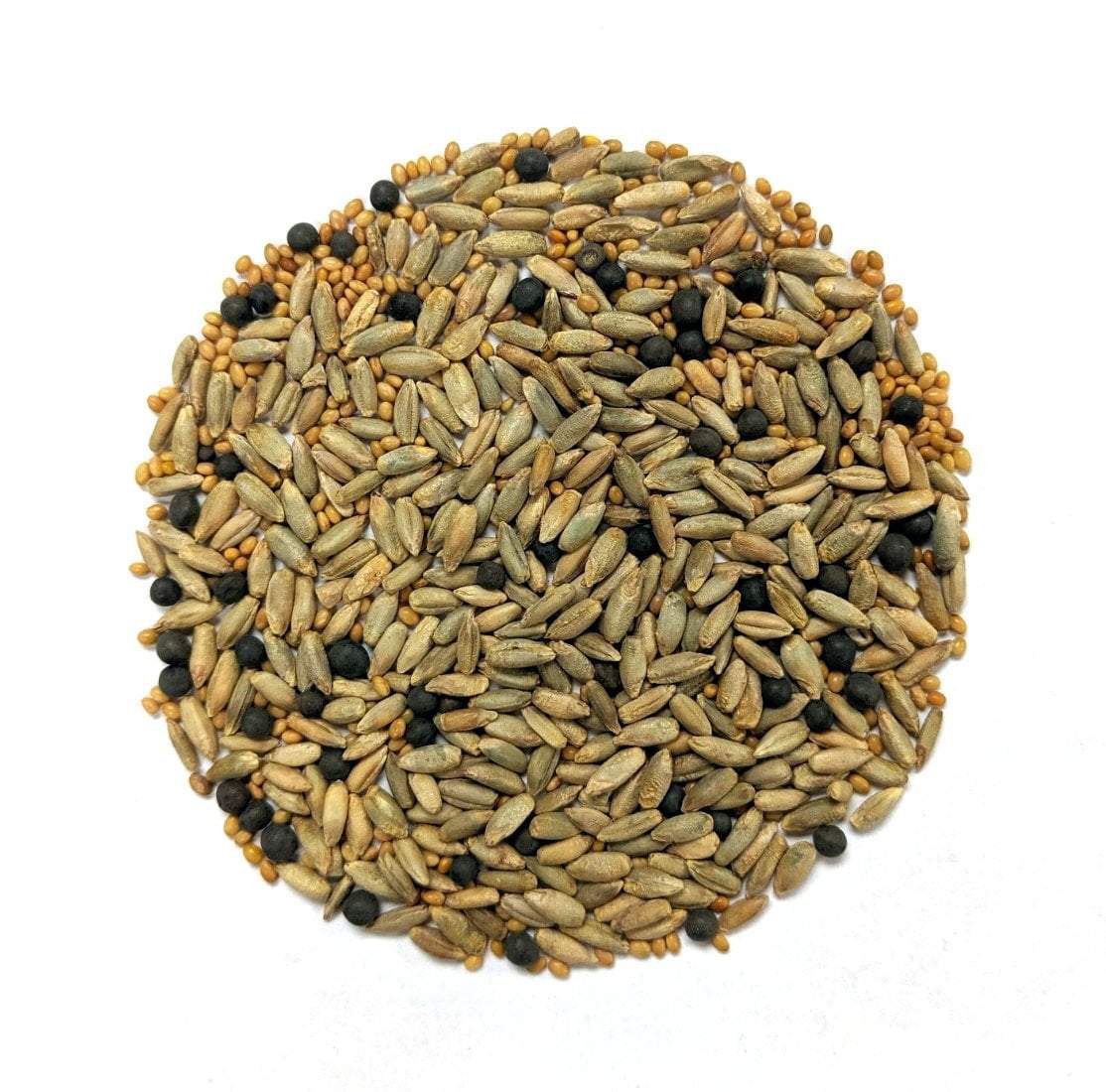 Cover Crop - Over-Wintering Mix - Sow True Seed