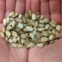 Watermelon Seeds - Ravenscroft - Sow True Seed