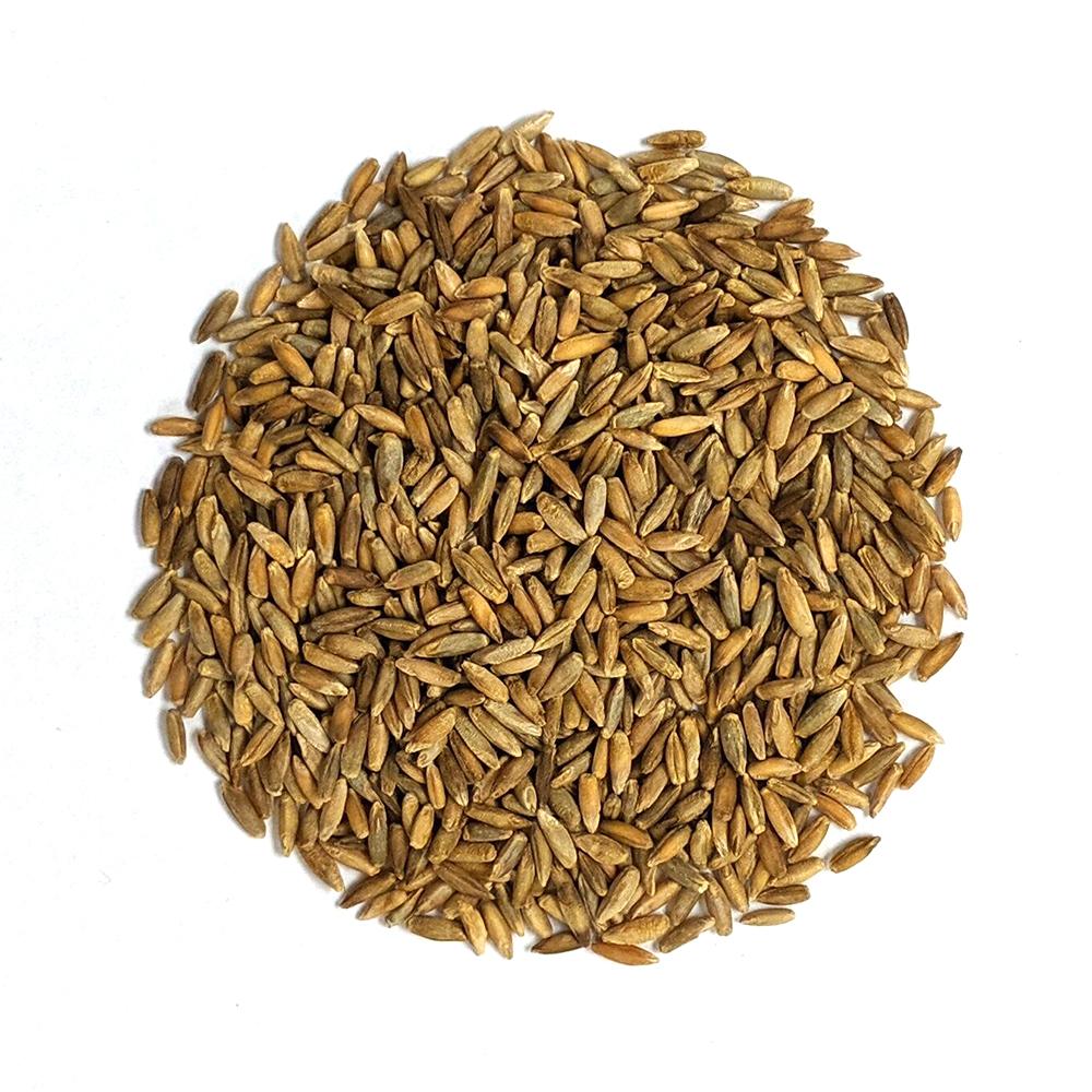 Cover Crop - Winter Rye, ORGANIC - Sow True Seed