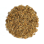 Cover Crop - Winter Rye, ORGANIC - Sow True Seed